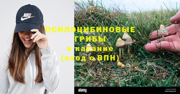 MESCALINE Каменск-Шахтинский