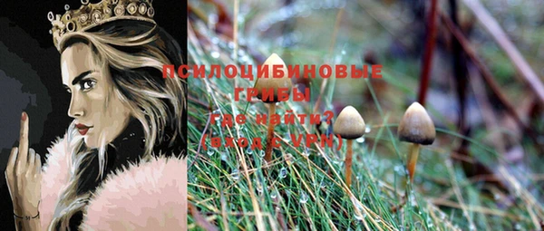 ALPHA PVP Каменногорск