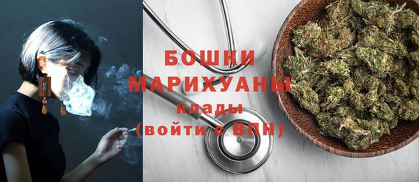 молекула духа Каменка