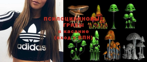 молекула духа Каменка