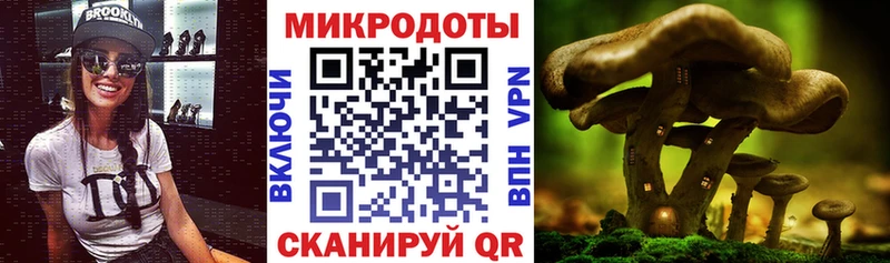 Купить закладки  Северо-Курильск  Галлюциногенные грибы Psilocybe 